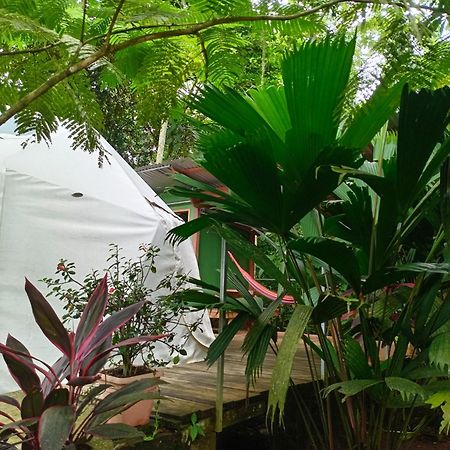شقة Glamping Naioth Guápiles المظهر الخارجي الصورة