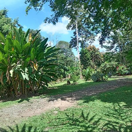 شقة Glamping Naioth Guápiles المظهر الخارجي الصورة