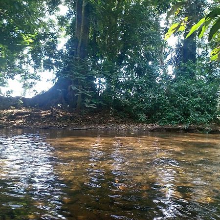 شقة Glamping Naioth Guápiles المظهر الخارجي الصورة
