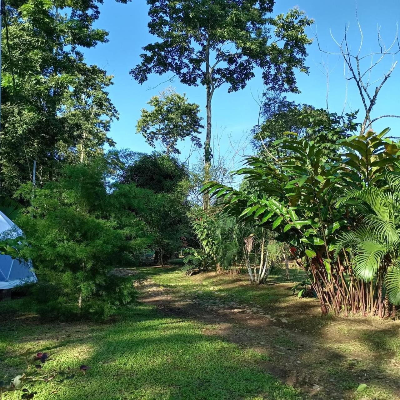 شقة Glamping Naioth Guápiles المظهر الخارجي الصورة