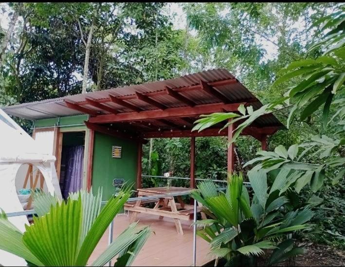 شقة Glamping Naioth Guápiles المظهر الخارجي الصورة