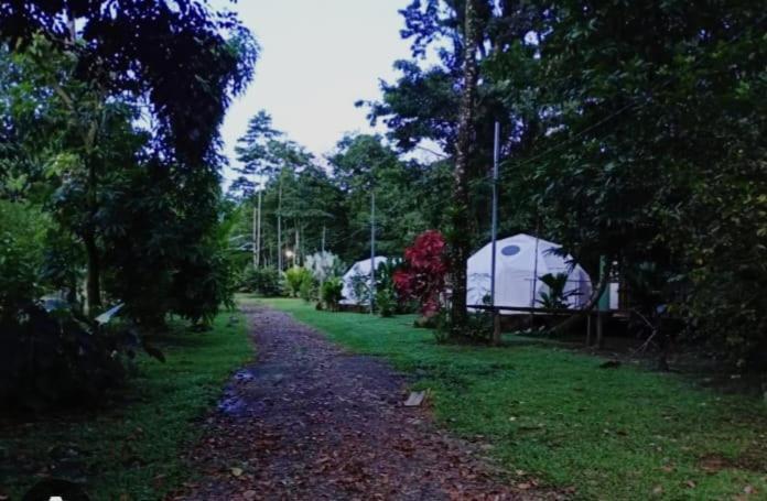 شقة Glamping Naioth Guápiles المظهر الخارجي الصورة