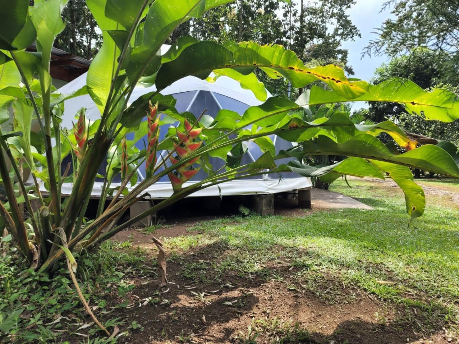 شقة Glamping Naioth Guápiles المظهر الخارجي الصورة