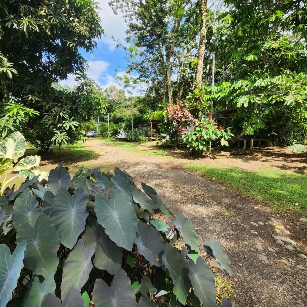 شقة Glamping Naioth Guápiles المظهر الخارجي الصورة