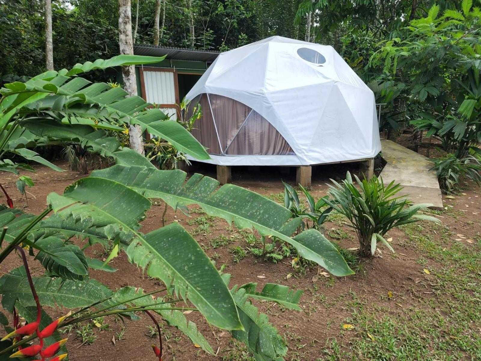 شقة Glamping Naioth Guápiles المظهر الخارجي الصورة