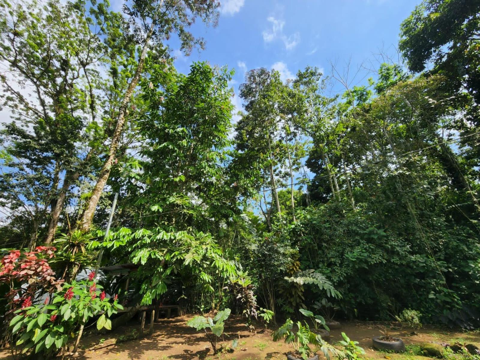 شقة Glamping Naioth Guápiles المظهر الخارجي الصورة