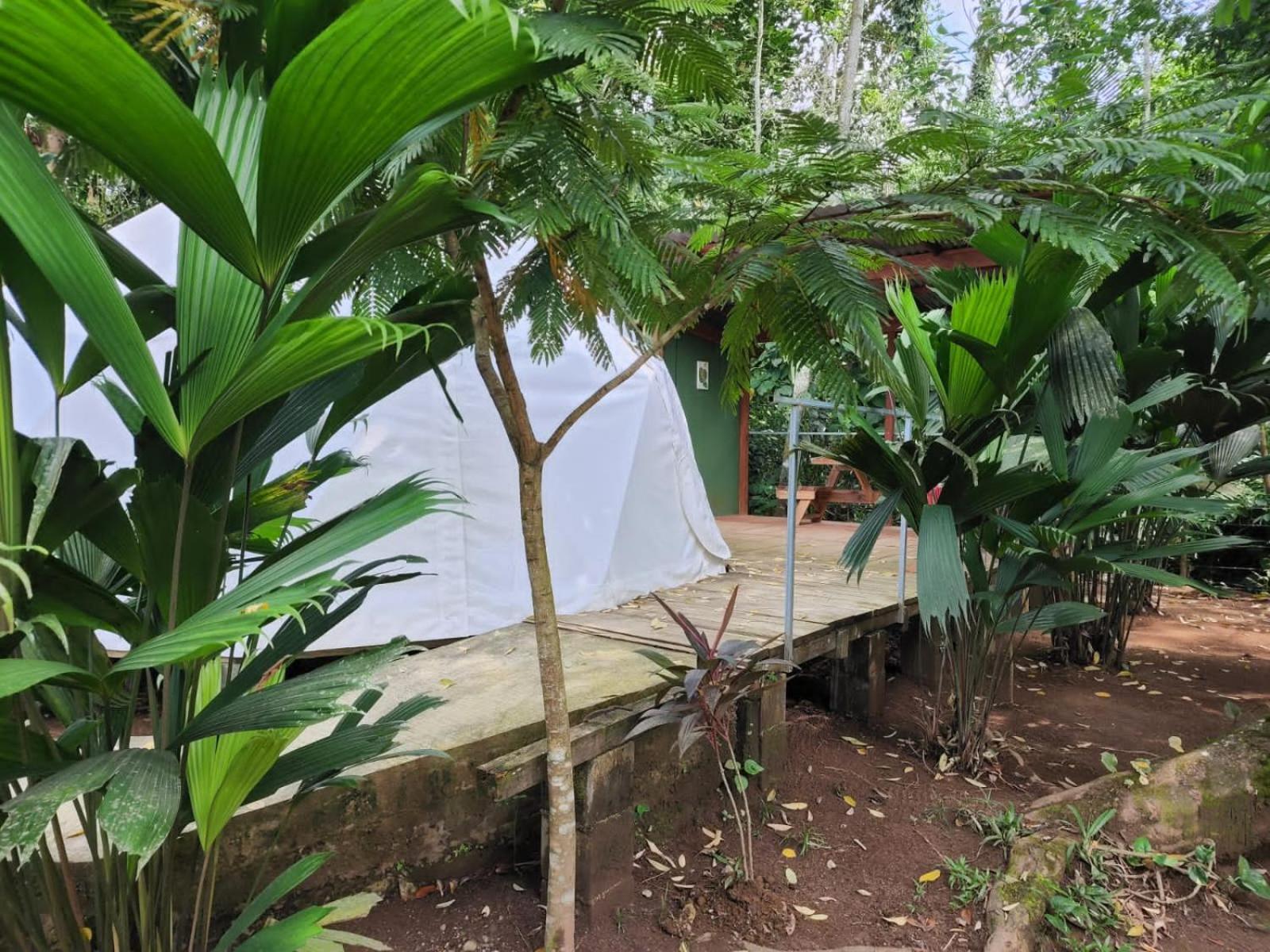 شقة Glamping Naioth Guápiles المظهر الخارجي الصورة