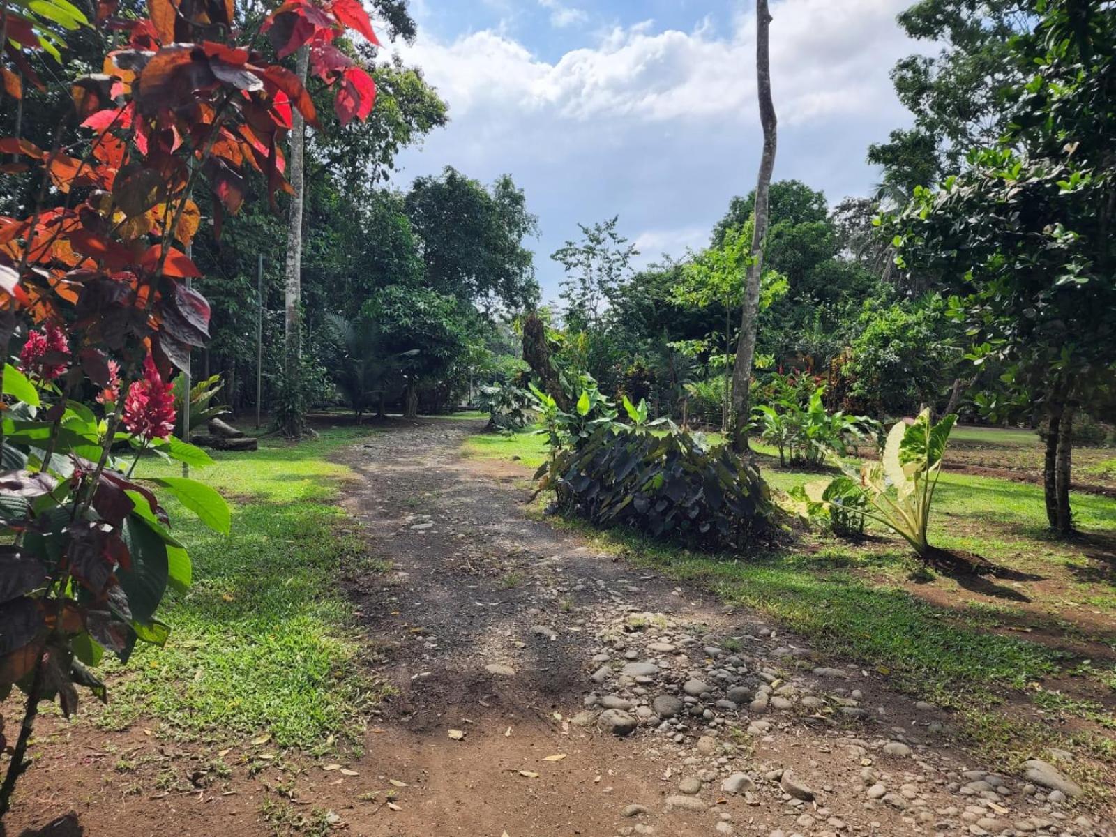 شقة Glamping Naioth Guápiles المظهر الخارجي الصورة