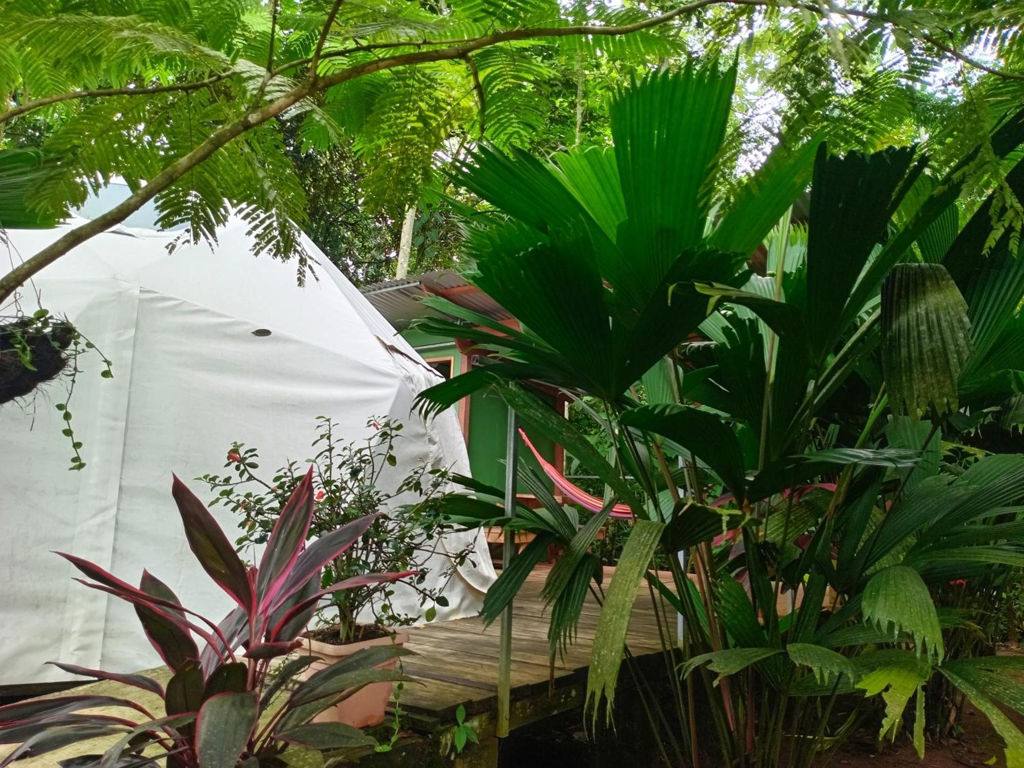 شقة Glamping Naioth Guápiles المظهر الخارجي الصورة