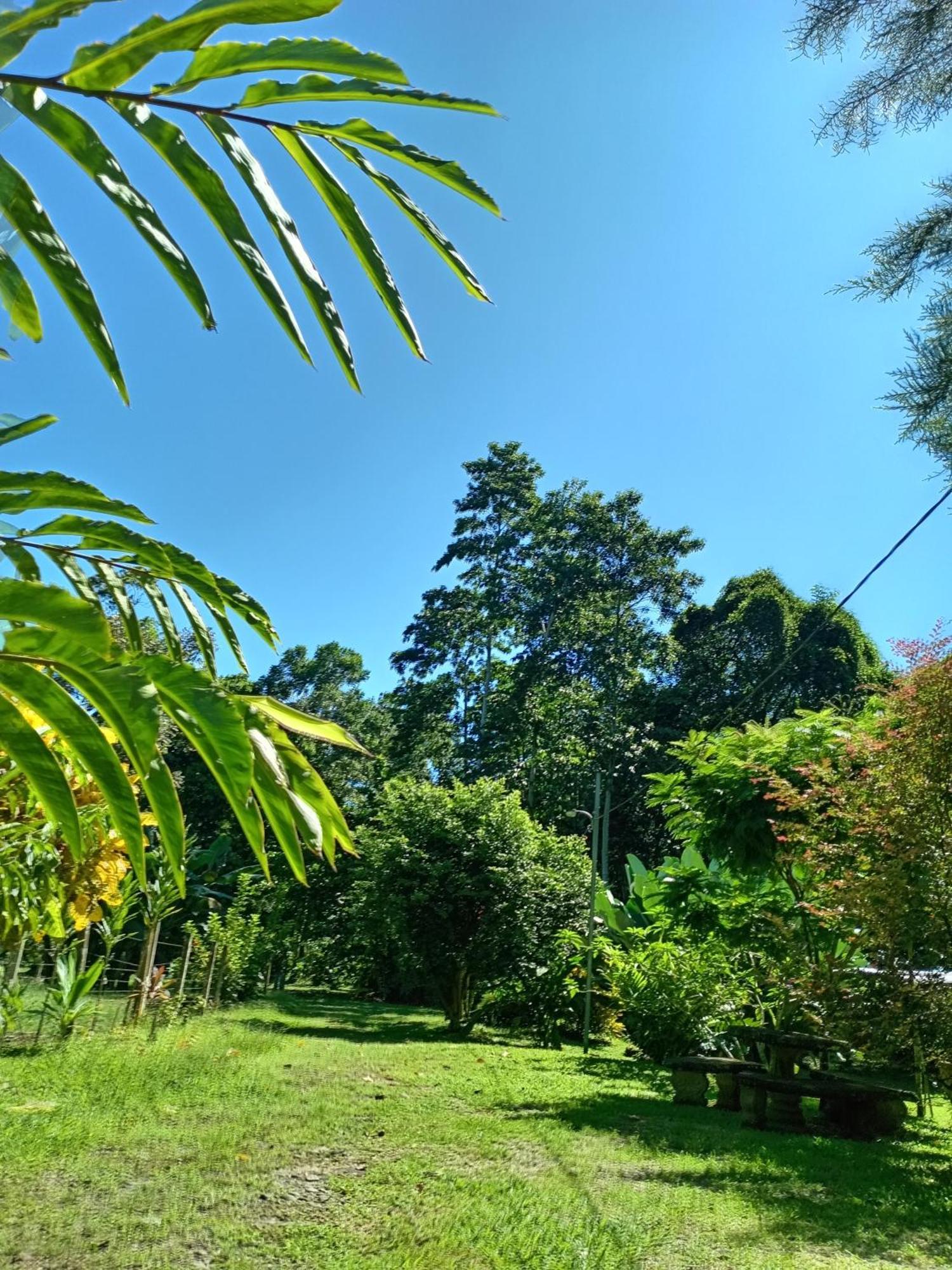 شقة Glamping Naioth Guápiles الغرفة الصورة