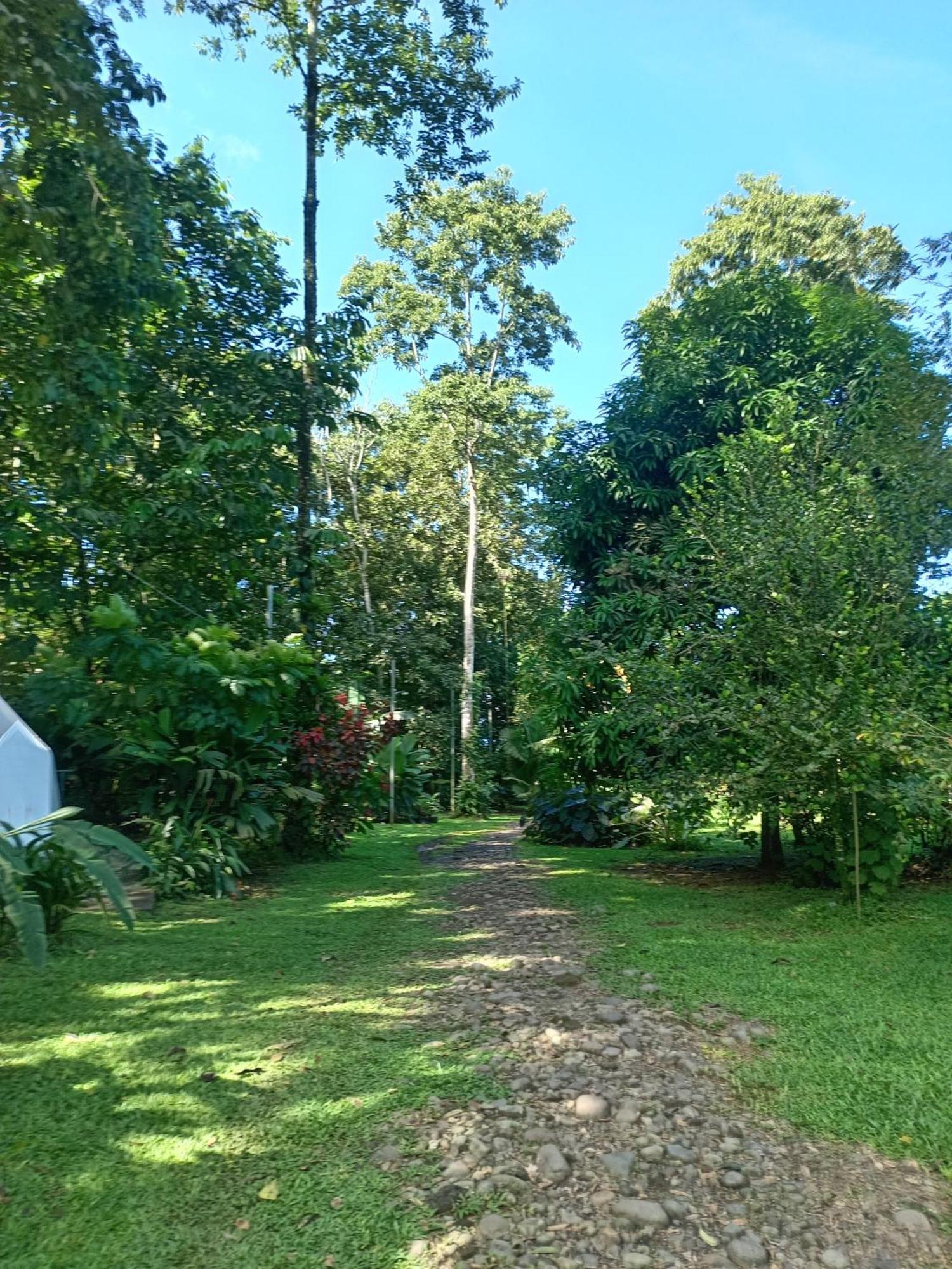 شقة Glamping Naioth Guápiles الغرفة الصورة