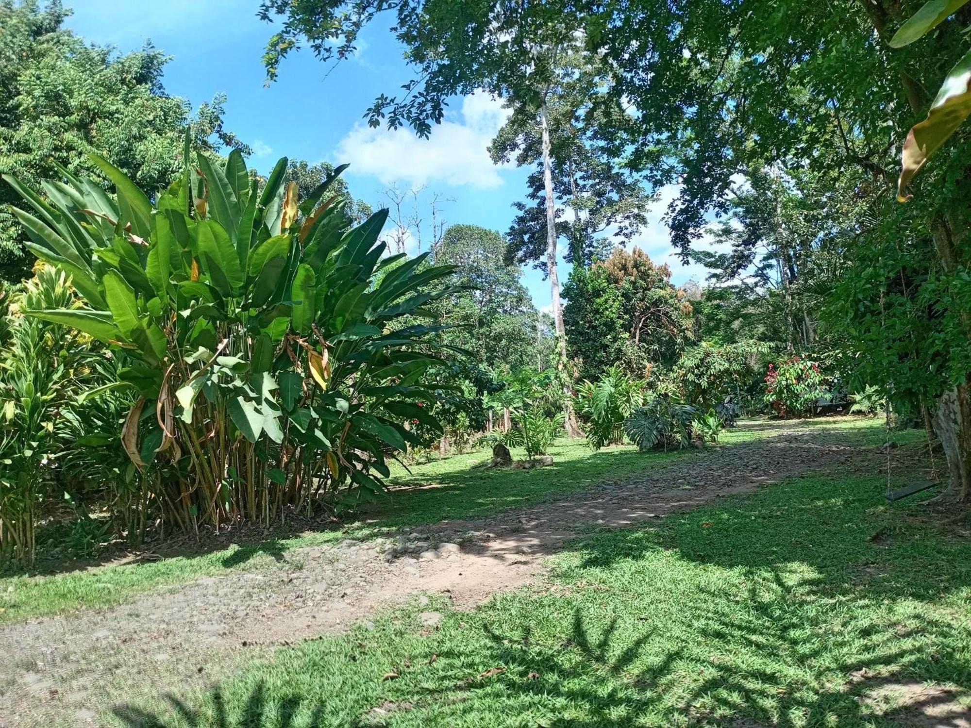 شقة Glamping Naioth Guápiles المظهر الخارجي الصورة