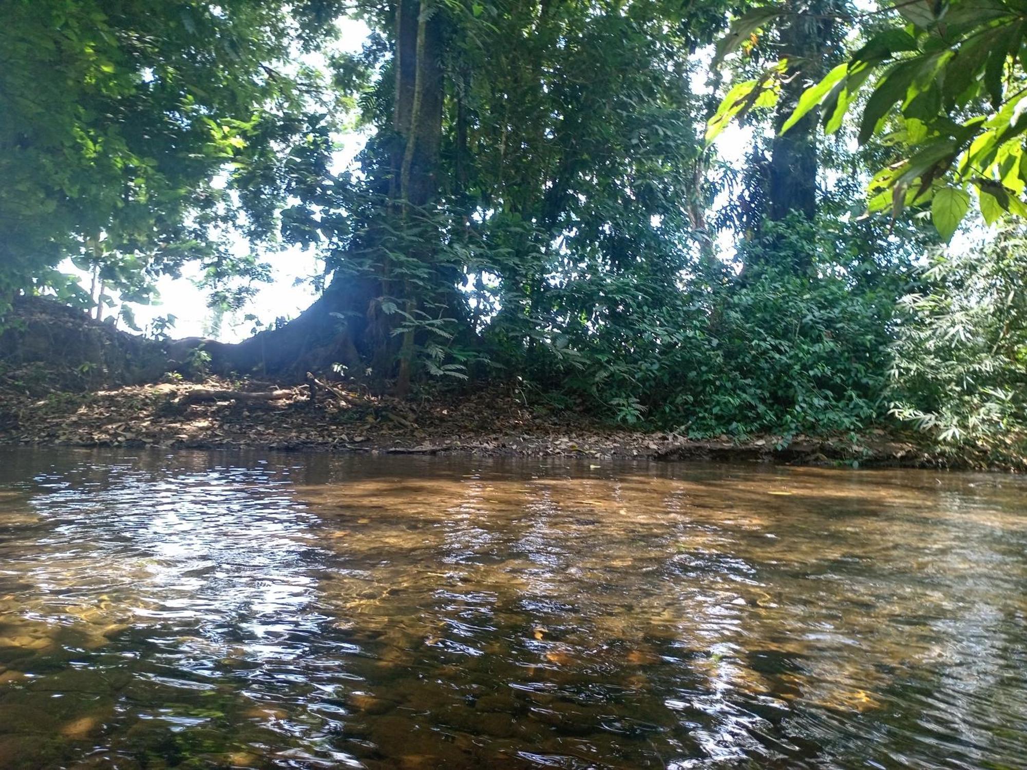 شقة Glamping Naioth Guápiles المظهر الخارجي الصورة