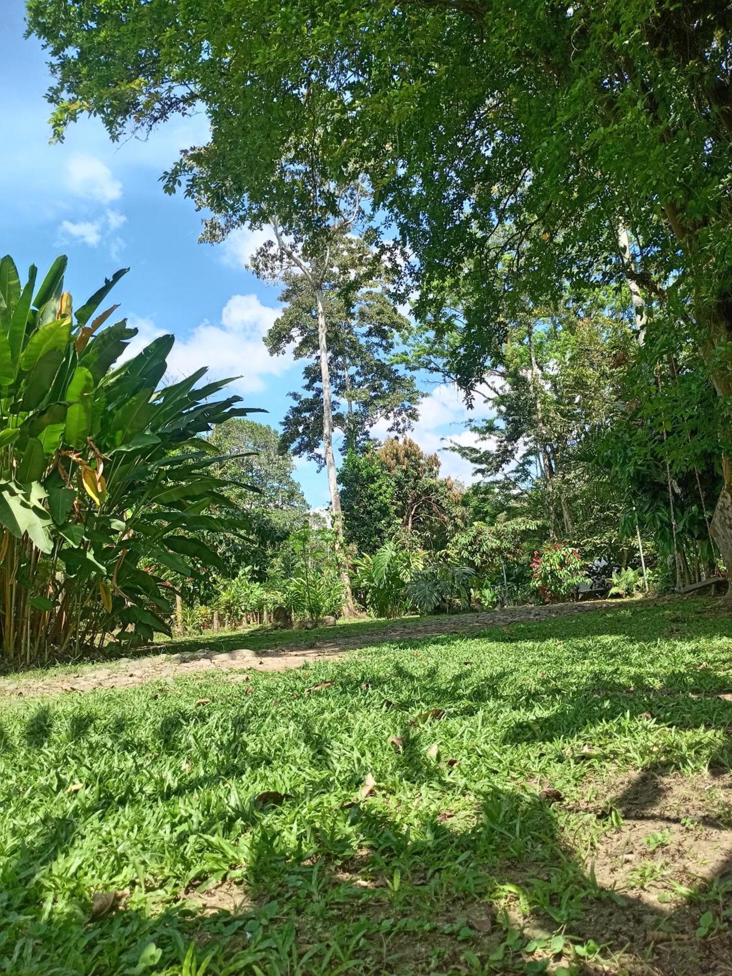شقة Glamping Naioth Guápiles الغرفة الصورة