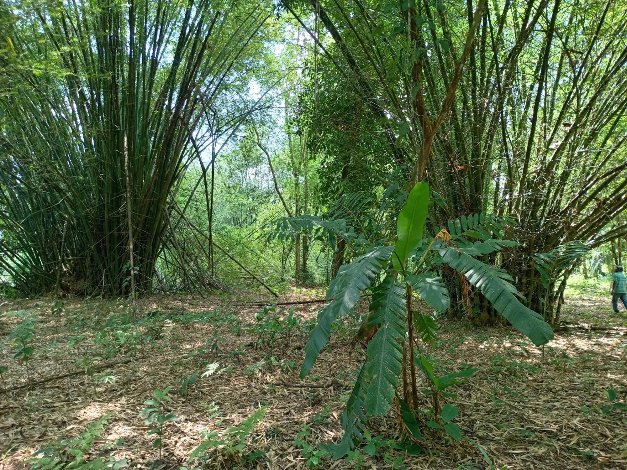 شقة Glamping Naioth Guápiles الغرفة الصورة