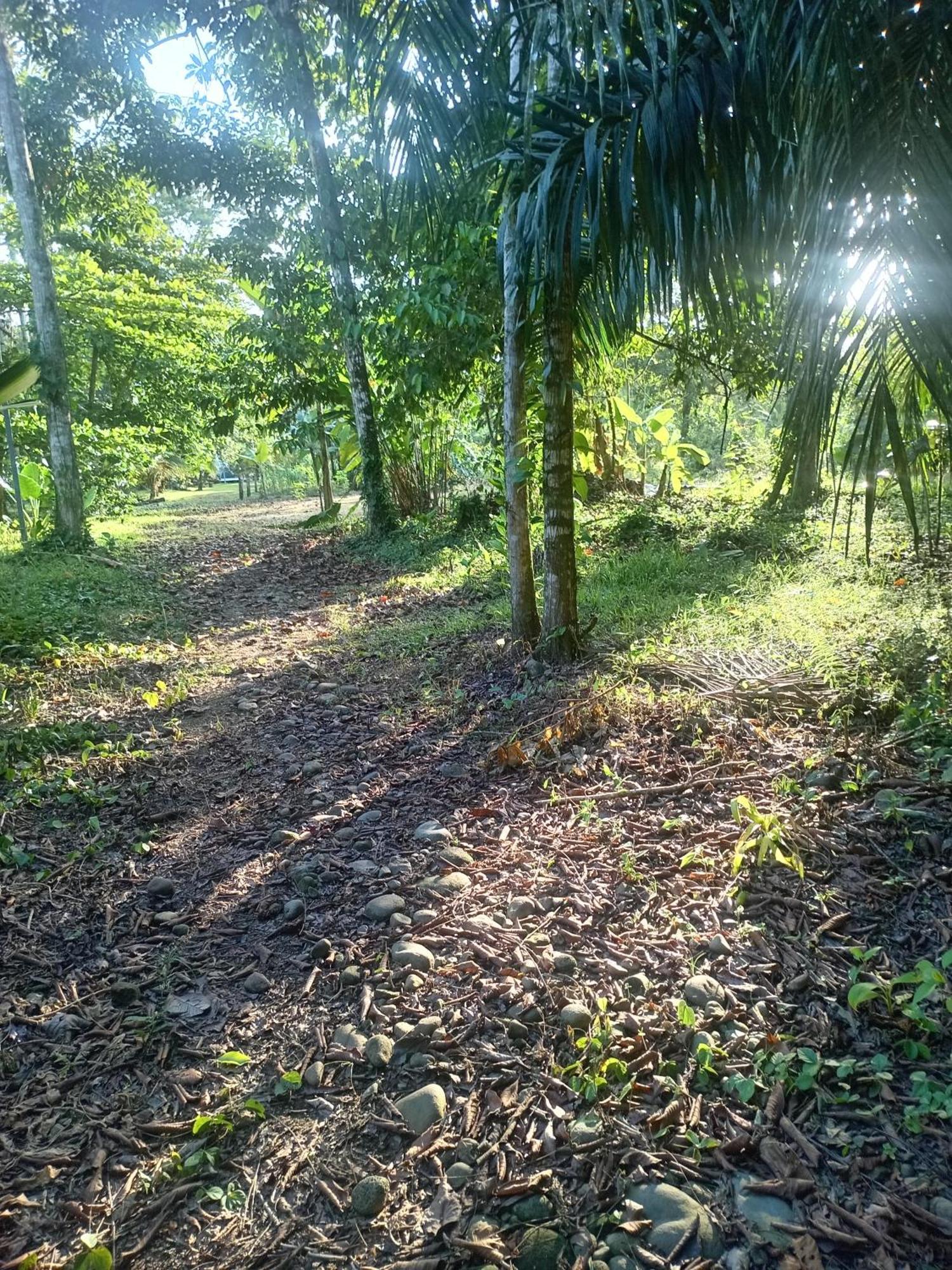 شقة Glamping Naioth Guápiles المظهر الخارجي الصورة